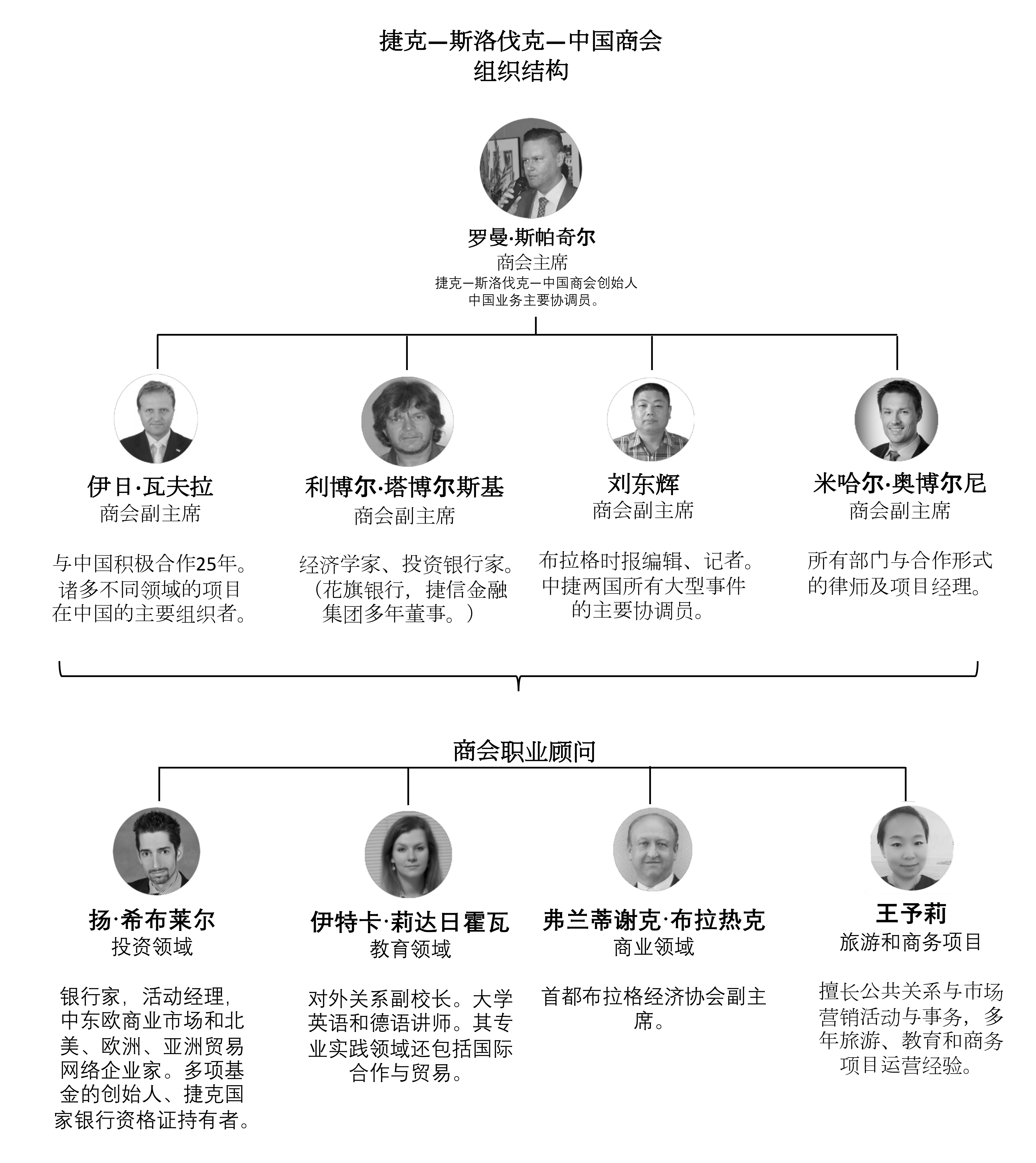 我们的团队